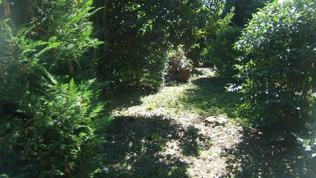فندق لوكاندا كاناريجو San Biagio di Callalta المظهر الخارجي الصورة